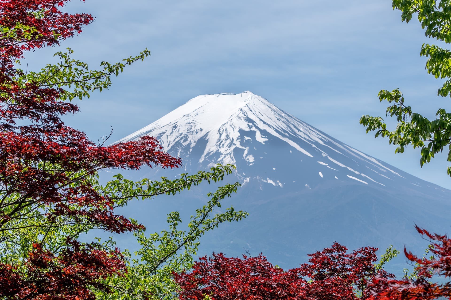 Wunderbare Bilder einer Japanreise