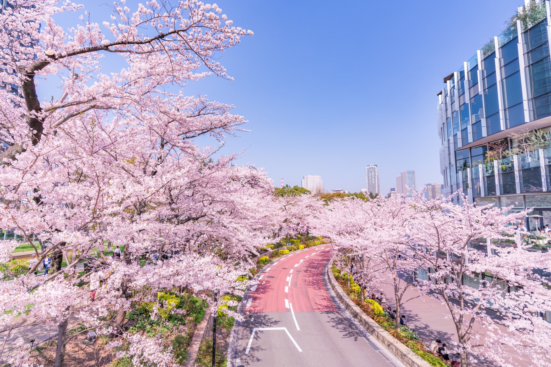 Der Mori Tower und sein Ausblick auf Roppongi und Ginza