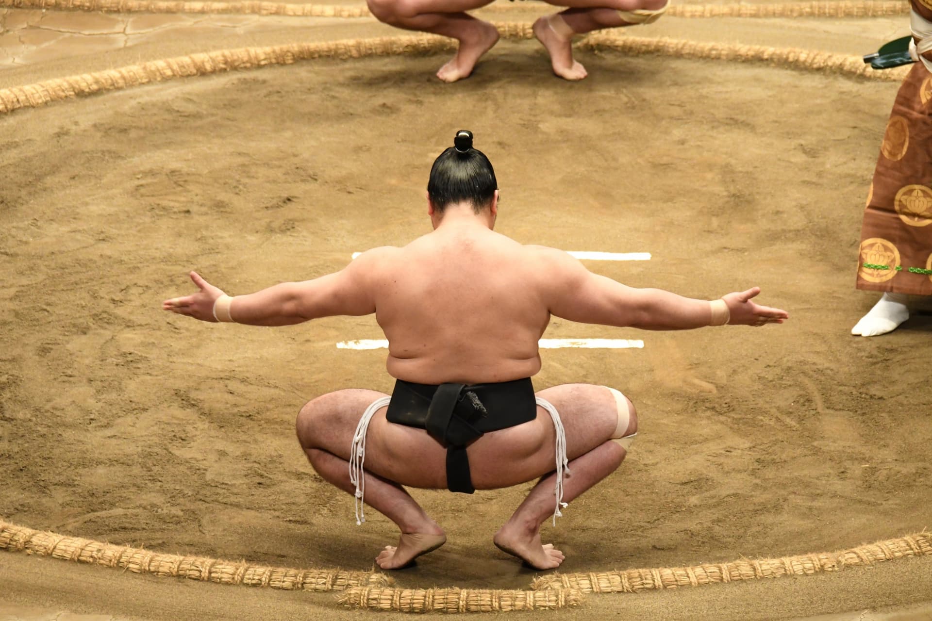 Sumotoris: Entdecken Sie die Ursprünge des Sumo und wo Sie japanische Ringer sehen!