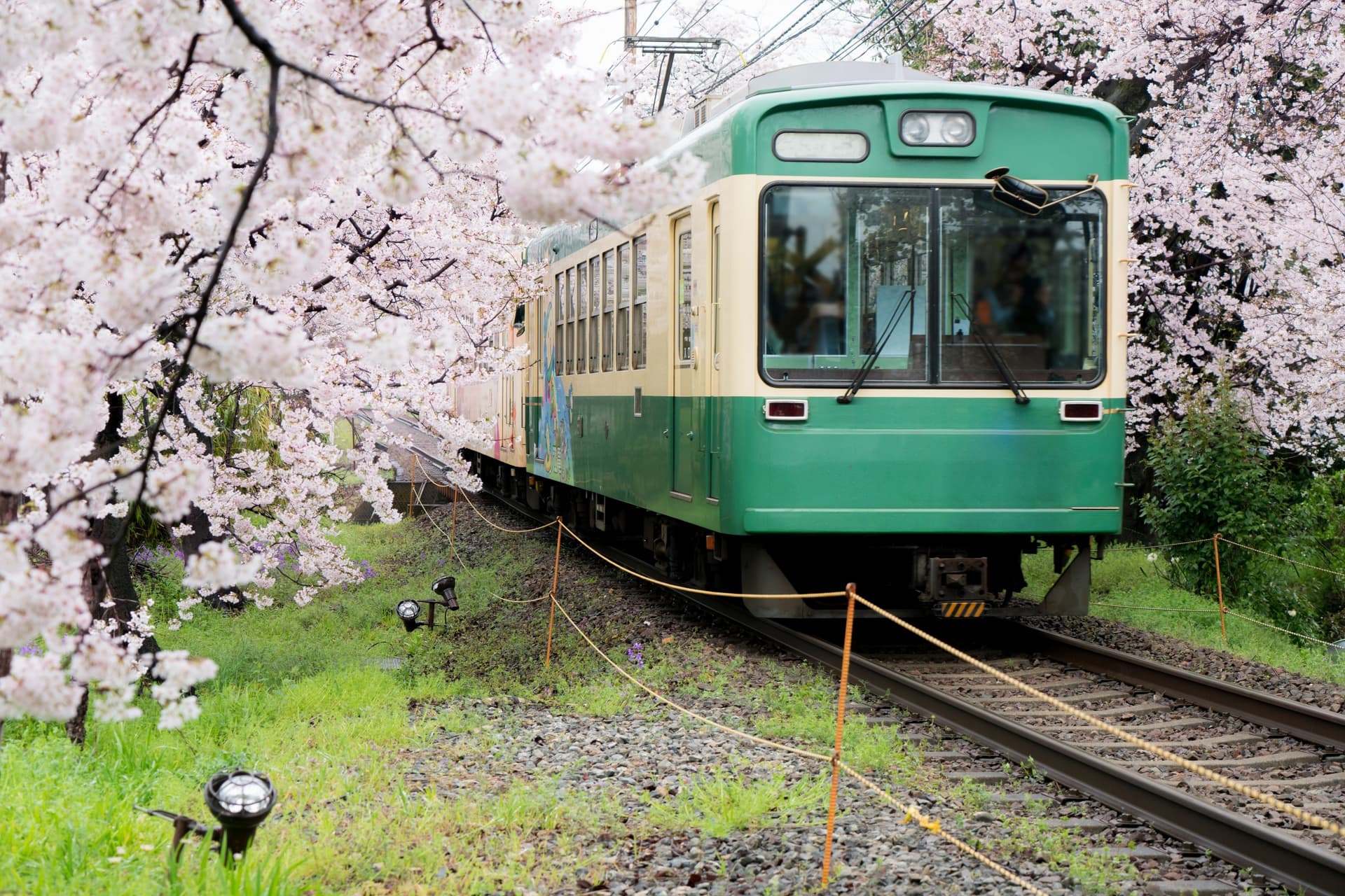 Sich in Japan fortbewegen
