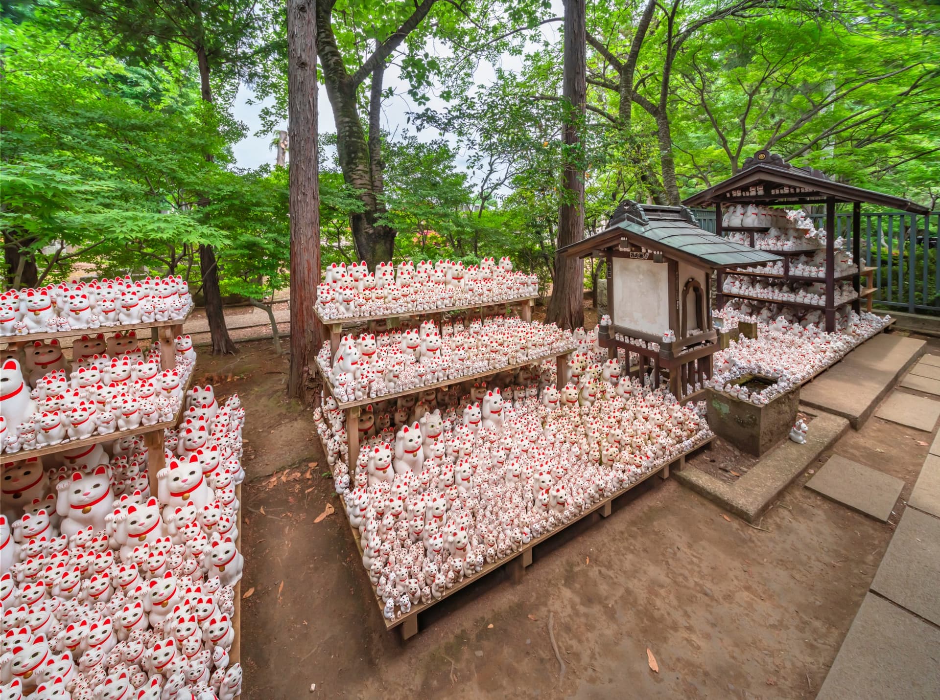 Diese ungewöhnlichen Tempel und Schreine in Tokio sollten Sie nicht verpassen