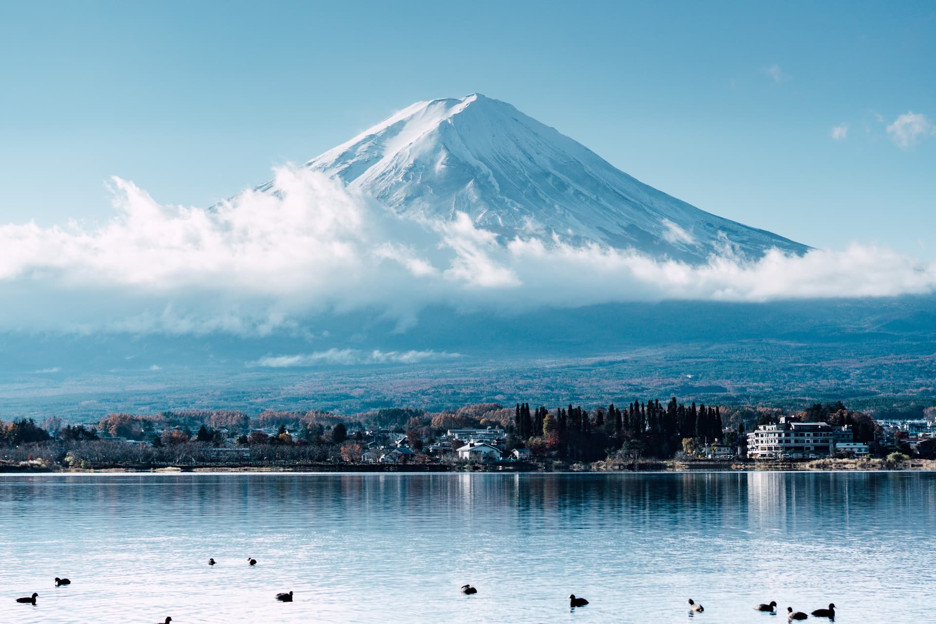 An den Ufern des Kawaguchiko-Sees betrachtet uns der Mt Fuji