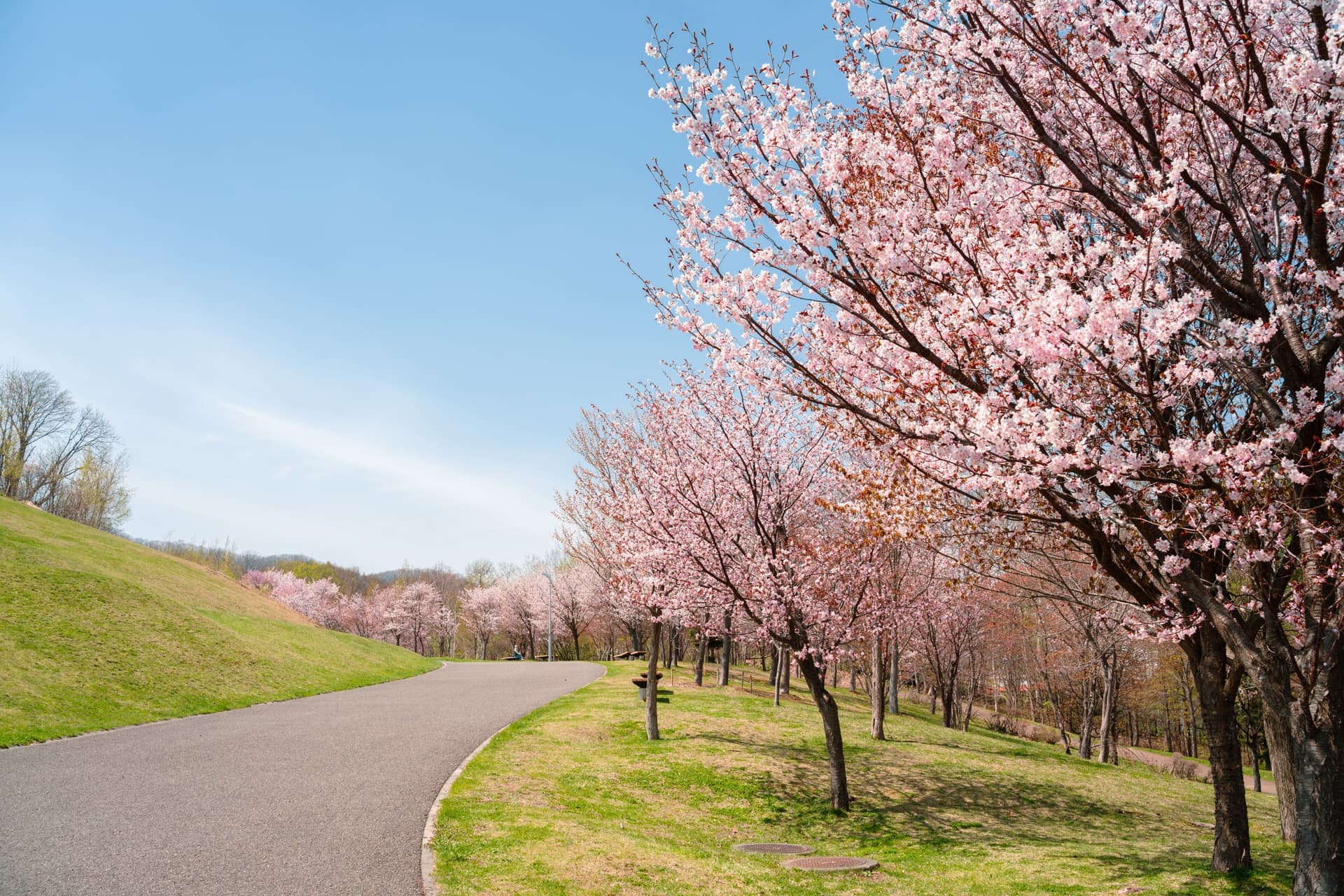 Die schönsten Parks von Tokio