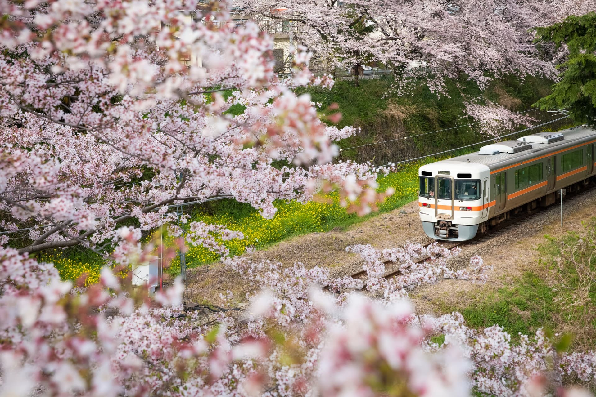 Eisenbahnnetz in Japan: Welche Preise und Optionen gibt es für Zugfahrten?